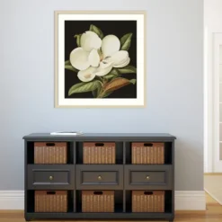 Kirkland's Home Magnolia Grandflora Framed Art Print- Framed Art