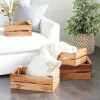 Kirkland's Home Mahogany Finish 4-Pc. Wooden Crates- Baskets & Boxes