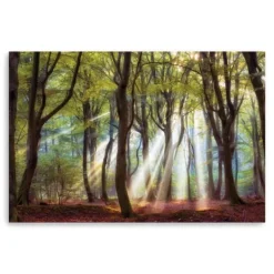 Kirkland's Home Majestic Morning Giclee Canvas Art Print- Canvas Art