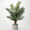 Kirkland's Home Majestic Palm Tree In Gray Planter- Trees & Topiaries