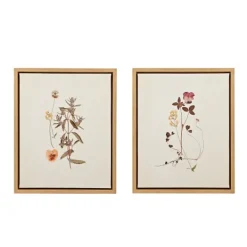 Kirkland's Home Martha Stewart French Herbarium Framed Art Set- Framed Art