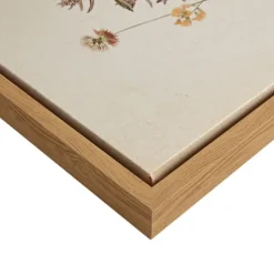 Kirkland's Home Martha Stewart French Herbarium Framed Art Set- Framed Art