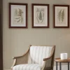 Kirkland's Home Martha Stewart Lady Fern Framed Art Print Set- Framed Art