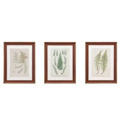 Kirkland's Home Martha Stewart Lady Fern Framed Art Print Set- Framed Art