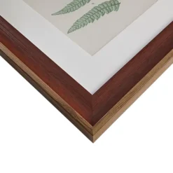 Kirkland's Home Martha Stewart Lady Fern Framed Art Print Set- Framed Art