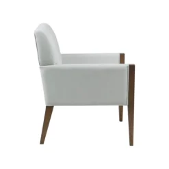 Kirkland's Home Martha Stewart Wood Trim Accent Chair- Accent Chairs