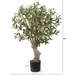 Kirkland's Home Mediterranean Olive Branch Tree In Black Pot- Trees & Topiaries