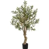 Kirkland's Home Mediterranean Olive Tree In Nursery Planter- Trees & Topiaries