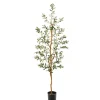 Kirkland's Home Mediterranean Olive Tree In Black Planter, 70 In.- Trees & Topiaries