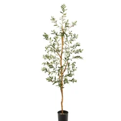 Kirkland's Home Mediterranean Olive Tree In Black Planter, 70 In.- Trees & Topiaries