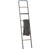 Kirkland's Home Metal And Fir Wood Leaning Ladder With Hooks- Decorative Accents
