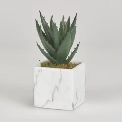 Kirkland's Home Mini Aloe Plant In White Marble Ceramic Cube- Arrangements & Greenery