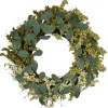 Kirkland's Home Mini Gradient Berries Twig Wreath- Wreaths