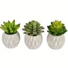 Kirkland's Home Mini Succulents In Ceramic Pots, Set Of 3- Arrangements & Greenery