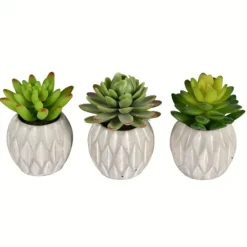 Kirkland's Home Mini Succulents In Ceramic Pots, Set Of 3- Arrangements & Greenery