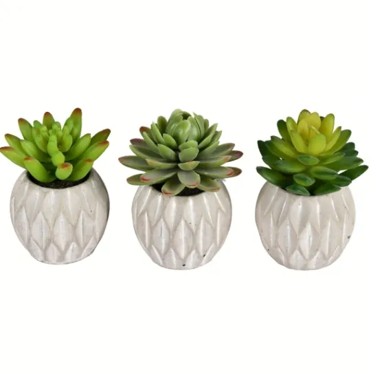 Kirkland's Home Mini Succulents In Ceramic Pots, Set Of 3- Arrangements & Greenery