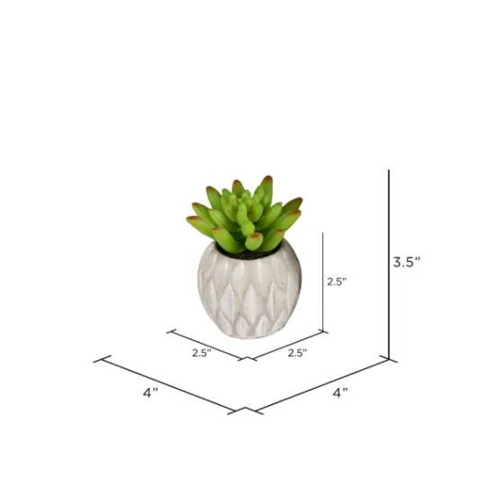 Kirkland's Home Mini Succulents In Ceramic Pots, Set Of 3- Arrangements & Greenery