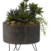 Kirkland's Home Mixed Greenery Arrangement In Round Wooden Planter- Trees & Topiaries