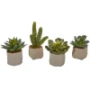 Kirkland's Home Mixed Succulent Arrangements, Set Of 4- Arrangements & Greenery