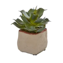 Kirkland's Home Mixed Succulent Arrangements, Set Of 4- Arrangements & Greenery