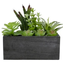 Kirkland's Home Mixed Succulents In Black Wood Planter Box- Arrangements & Greenery