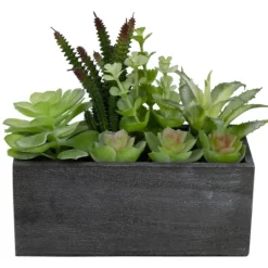 Kirkland's Home Mixed Succulents In Black Wood Planter Box- Arrangements & Greenery
