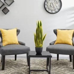 Kirkland's Home Modern Potted Laurentii Snake Plant- Arrangements & Greenery
