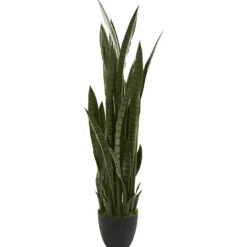 Kirkland's Home Modern Potted Tri Snake Plant- Arrangements & Greenery