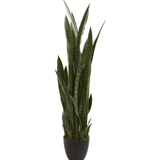 Kirkland's Home Modern Potted Tri Snake Plant- Arrangements & Greenery