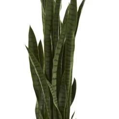 Kirkland's Home Modern Potted Tri Snake Plant- Arrangements & Greenery
