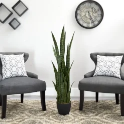 Kirkland's Home Modern Potted Tri Snake Plant- Arrangements & Greenery