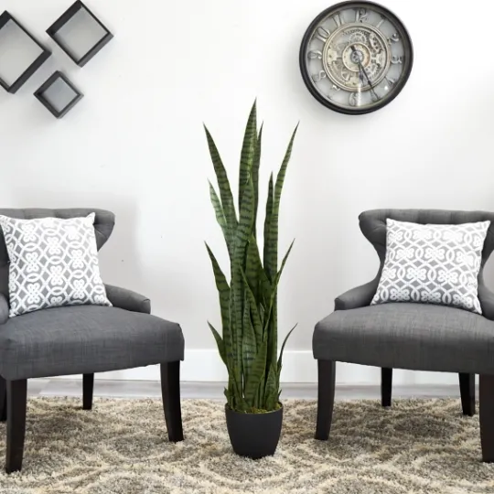 Kirkland's Home Modern Potted Tri Snake Plant- Arrangements & Greenery