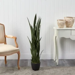 Kirkland's Home Modern Potted Tri Snake Plant- Arrangements & Greenery