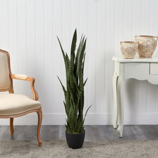 Kirkland's Home Modern Potted Tri Snake Plant- Arrangements & Greenery