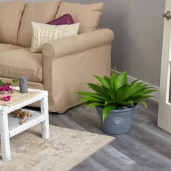 Kirkland's Home Mojave Agave Succulent In Gray Planter- Arrangements & Greenery