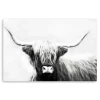 Kirkland's Home Monochrome Longhorn Canvas Art Print, 60X40 In.- Canvas Art