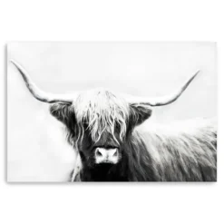 Kirkland's Home Monochrome Longhorn Canvas Art Print, 60X40 In.- Canvas Art