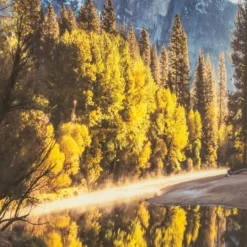 Kirkland's Home Morning In Paradise Glass Art Print- Framed Art