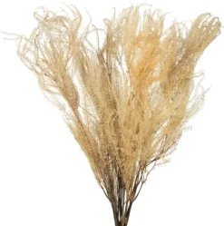 Kirkland's Home Natural Bleached Andares Fern Stems, Set Of 9- Stems & Bouquets