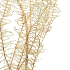 Kirkland's Home Natural Bleached Andares Fern Stems, Set Of 9- Stems & Bouquets