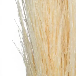 Kirkland's Home Natural Bleached Pampas Grass Stems, Set Of 6- Stems & Bouquets