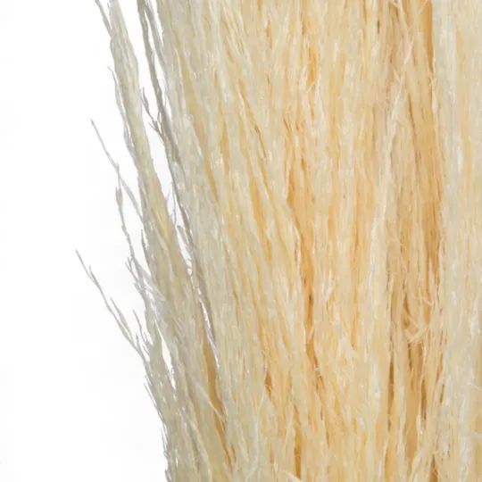 Kirkland's Home Natural Bleached Pampas Grass Stems, Set Of 6- Stems & Bouquets