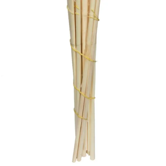 Kirkland's Home Natural Bleached Pampas Grass Stems, Set Of 6- Stems & Bouquets