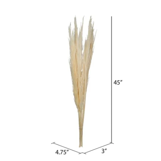 Kirkland's Home Natural Bleached Pampas Grass Stems, Set Of 6- Stems & Bouquets