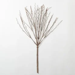 Kirkland's Home Natural Branch Stem- Stems & Bouquets