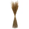 Kirkland's Home Natural Dried Princess Grass Bundles, Set Of 3- Stems & Bouquets