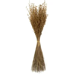 Kirkland's Home Natural Dried Princess Grass Bundles, Set Of 3- Stems & Bouquets