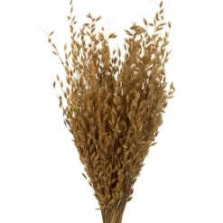 Kirkland's Home Natural Dried Princess Grass Bundles, Set Of 3- Stems & Bouquets