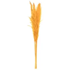 Kirkland's Home Natural En Pampas Grass Stems, Set Of 6- Stems & Bouquets