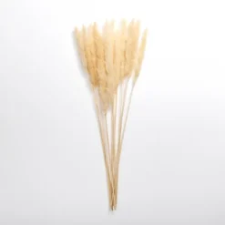 Kirkland's Home Natural Pampas Bundle- Stems & Bouquets